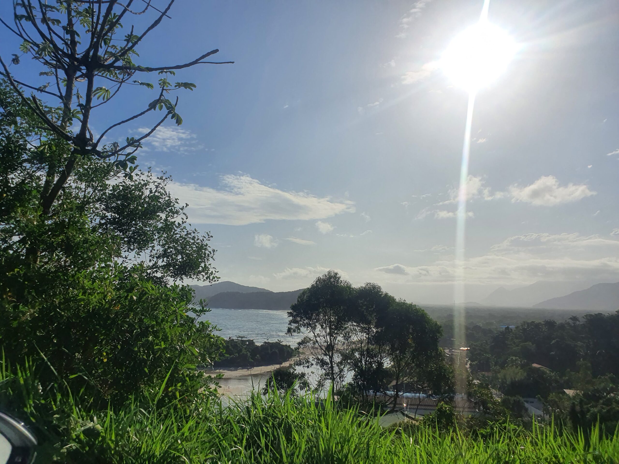 Você está visualizando atualmente Vitamina D: A luz do sol para uma mente saudável